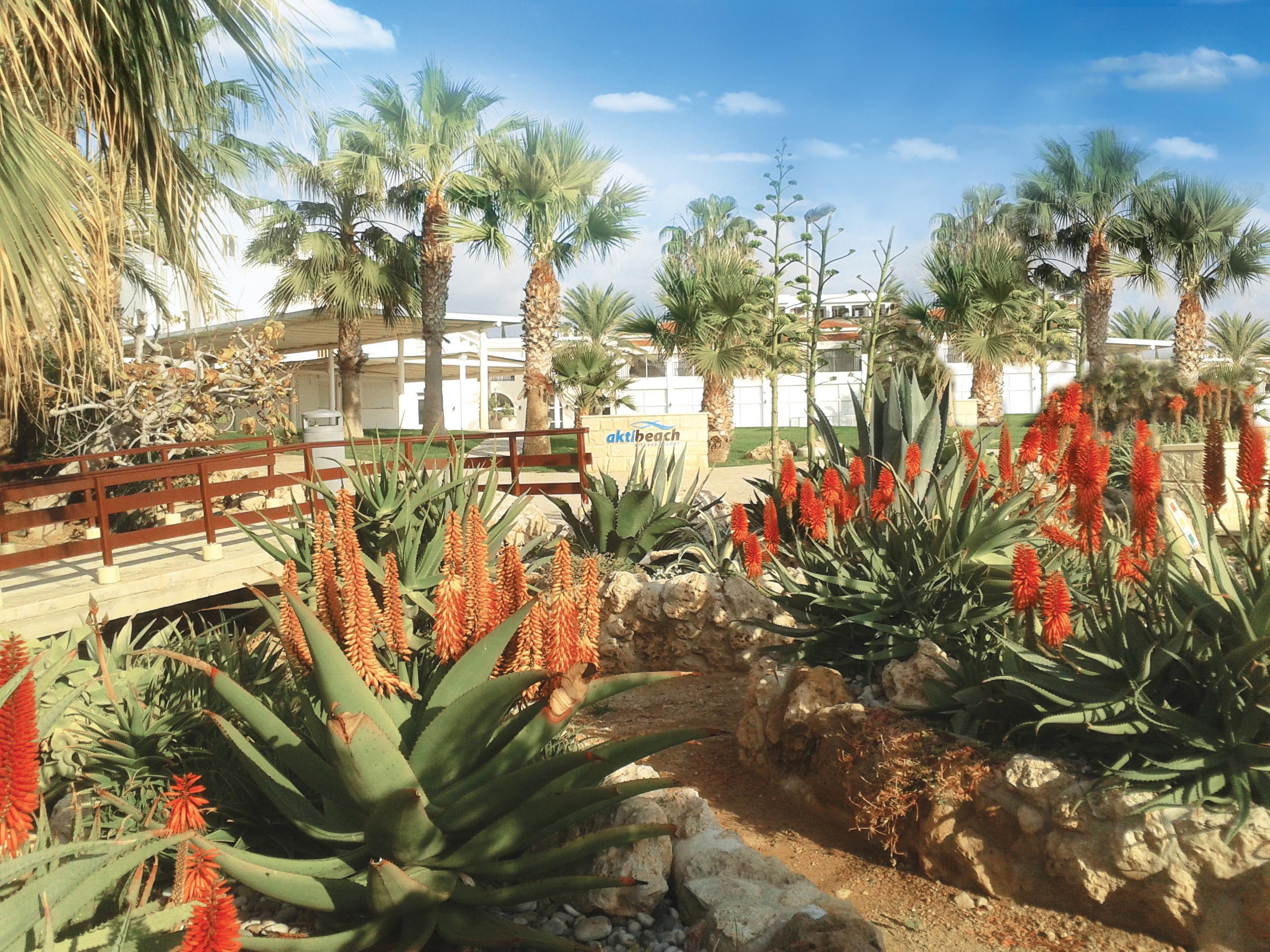 Akti Beach Hotel & Village Resort Klorakas ภายนอก รูปภาพ